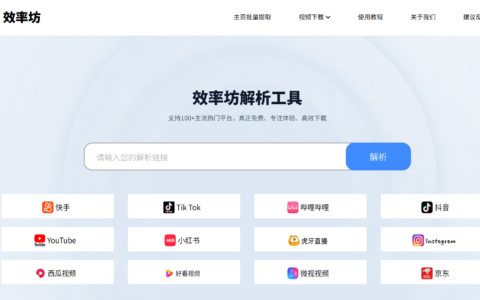 免费视频去水印下载工具，支持抖音，B站，快手，油管(YouTube)等100+视频平台去水印下载 - 效率坊解析工具