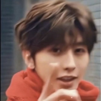 珍德石泥鸭的头像