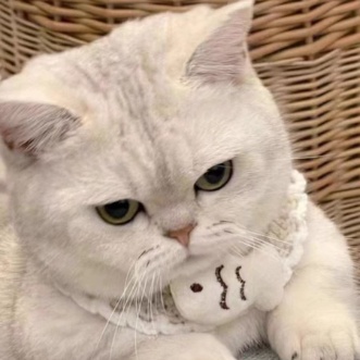 户外探险者的头像